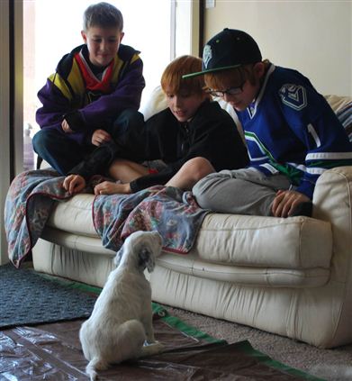 Click for large image