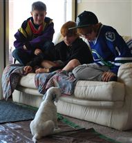 Click for large image