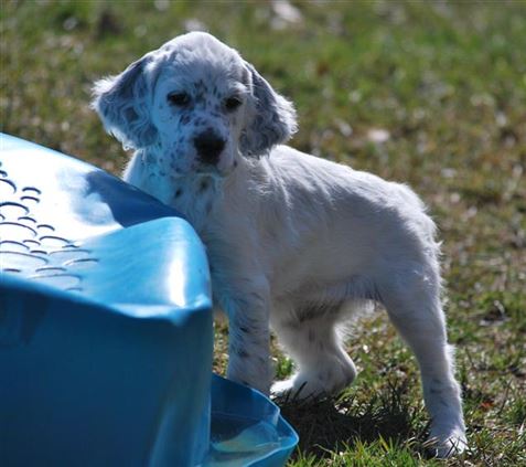 Click for large image