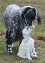 Click for large image