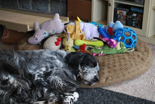 Click for large image