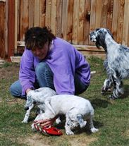 Click for large image