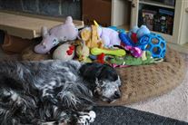 Click for large image