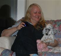 Click for large image