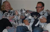 Click for large image