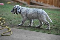 Click for large image