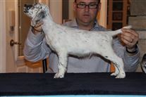 Click for large image