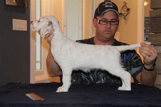 Click for large image