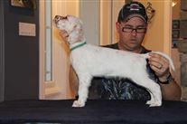 Click for large image