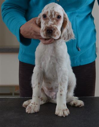 Click for large image