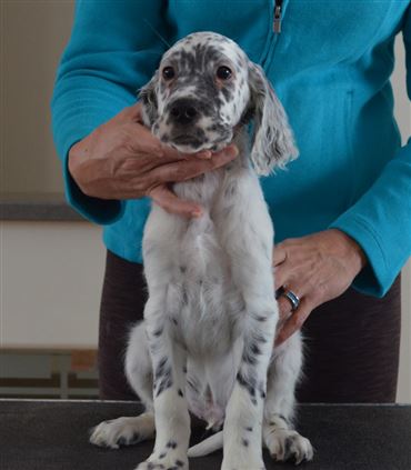 Click for large image