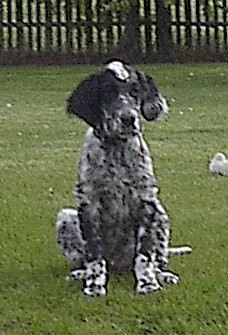 Click for large image