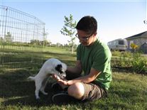 Click for large image