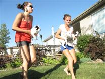 Click for large image