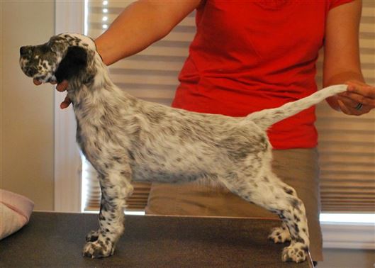 Click for large image