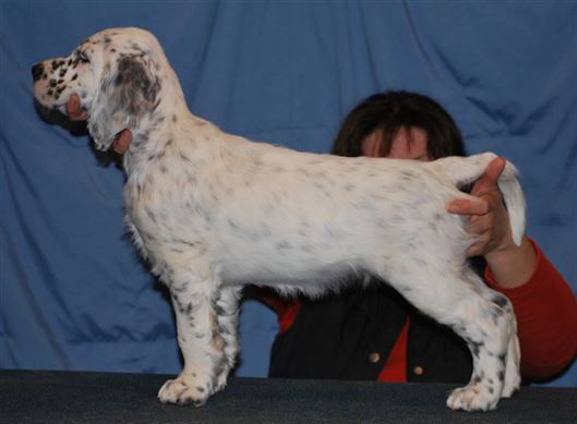 Click for large image