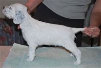 Click for large image