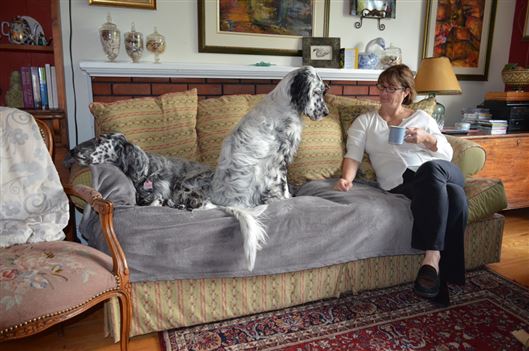 Click for large image