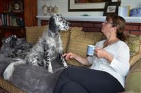 Click for large image