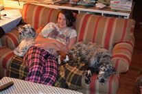 Click for large image