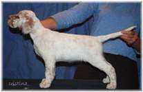 Click for large image