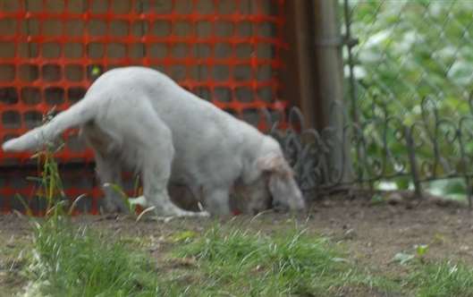 Click for large image