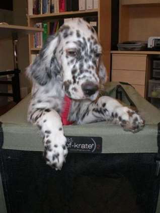 Click for large image