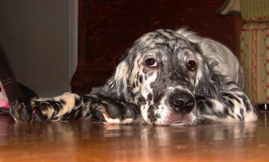 Click for large image