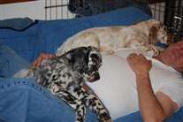 Click for large image