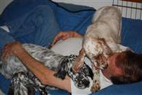 Click for large image