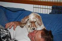 Click for large image