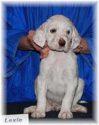 Click for large image