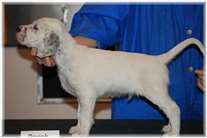 Click for large image