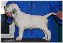 Click for large image