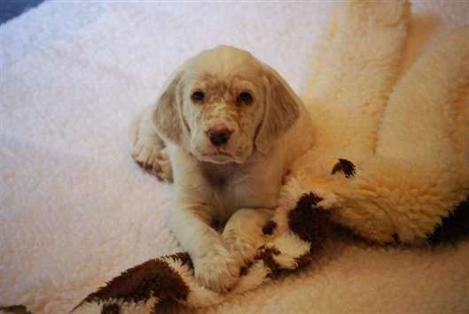 Click for large image