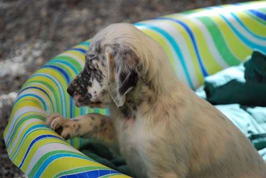 Click for large image